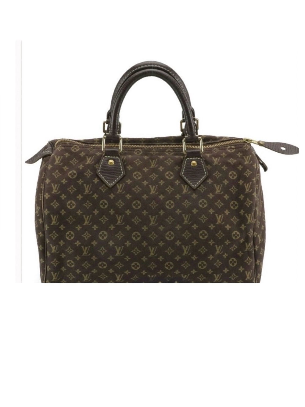 Louis Vuitton Speedy 30 in Monogram
Mini Lin Canvas Jacquard with Leather Trim